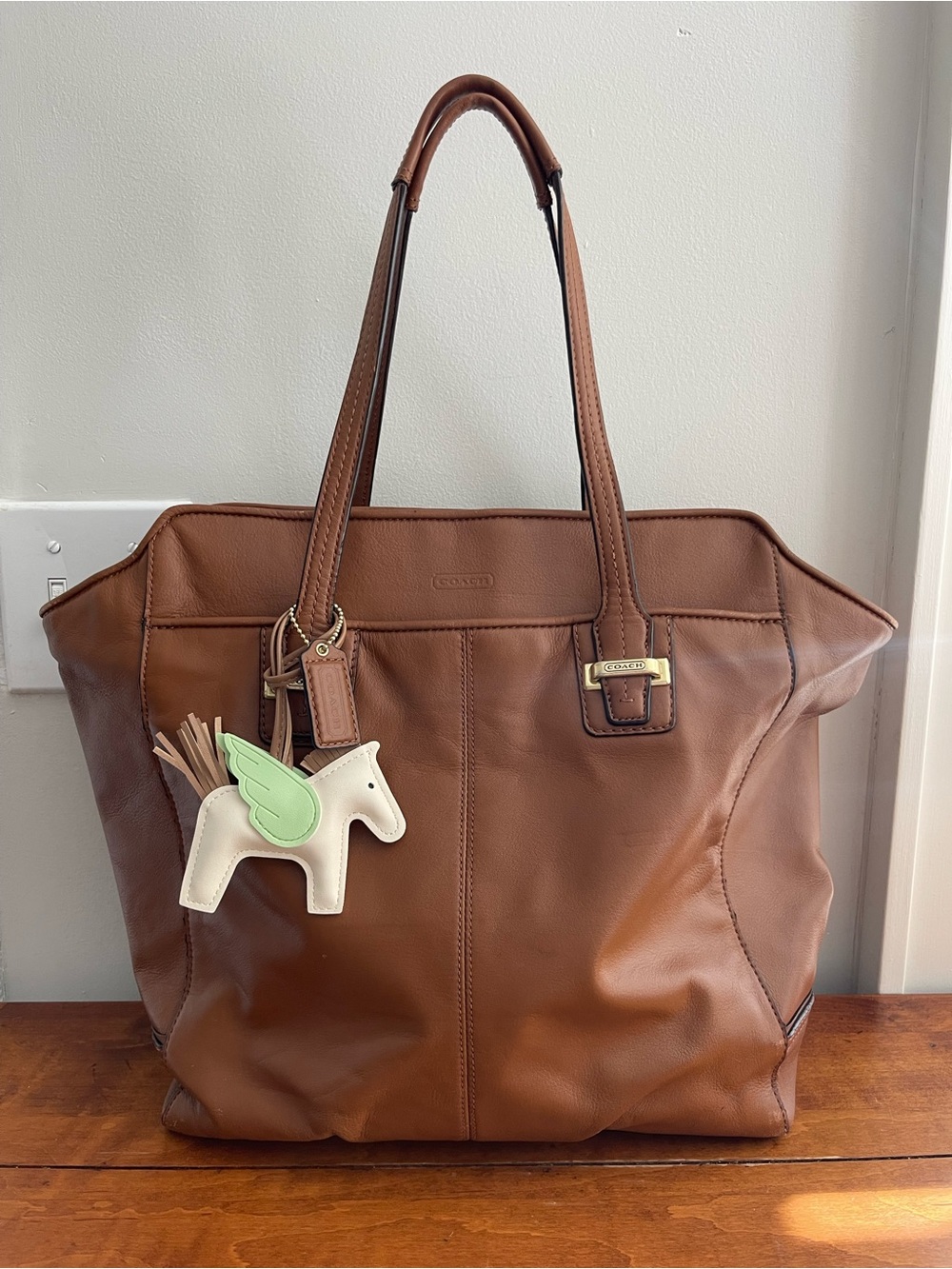 Coach Park Metro Leather North/South Tote Bag in Saddle Brown (F25941)